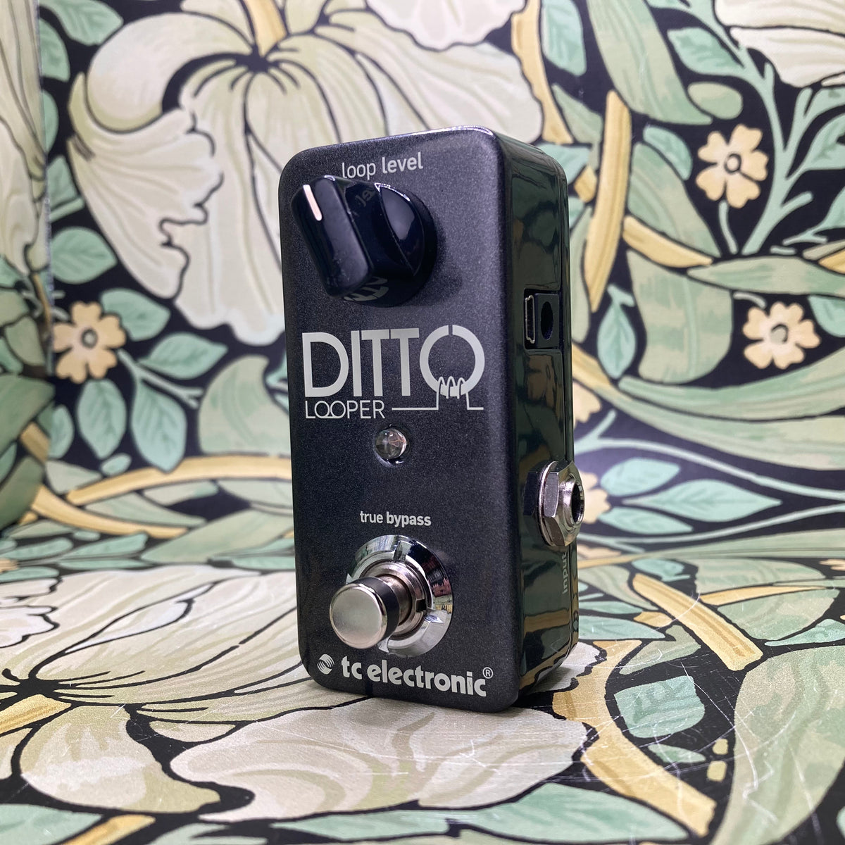 TC Electronic Ditto Looper