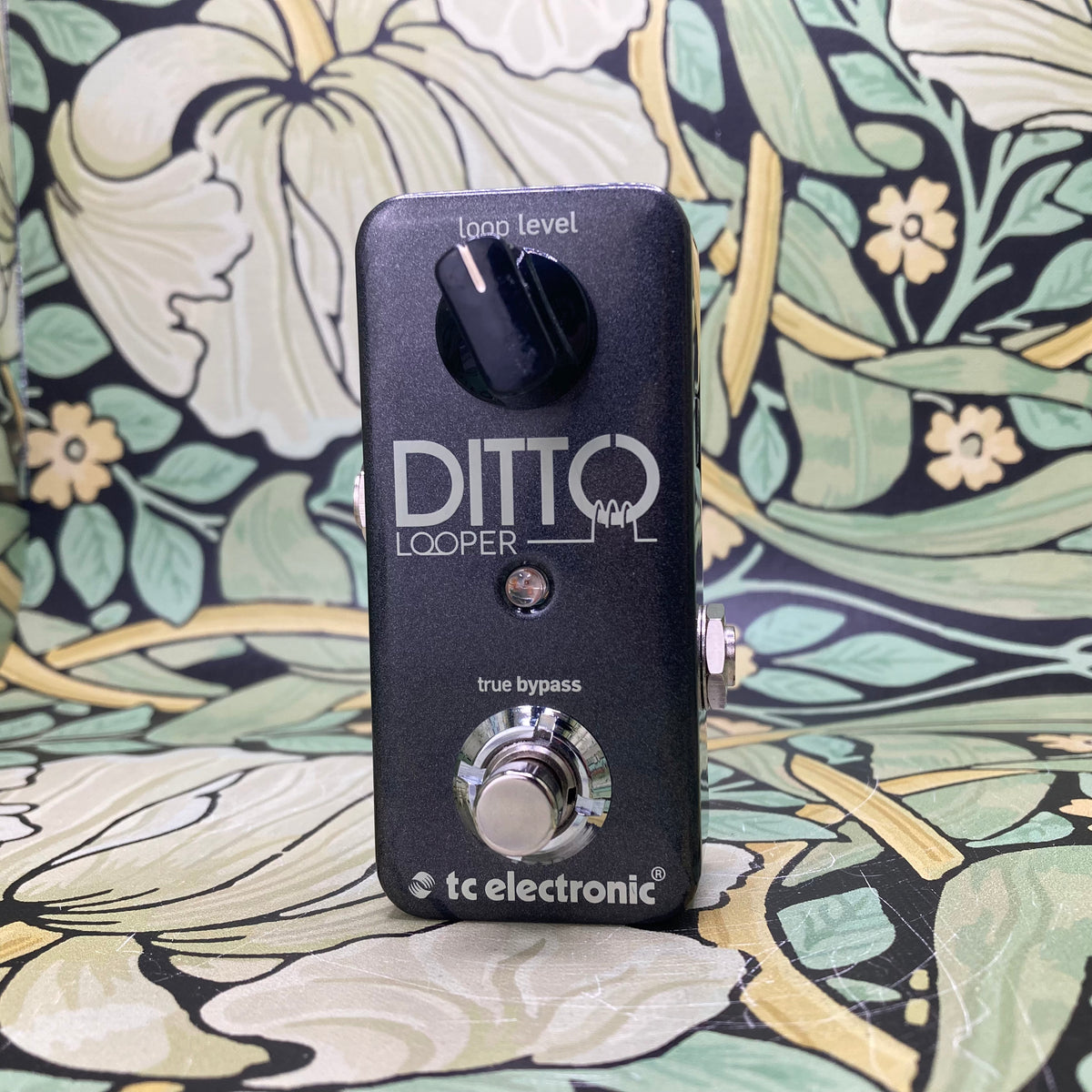 TC Electronic Ditto Looper – Eastside Music Supply