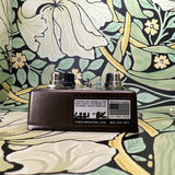 Caroline Guitar Company Météore Lo-Fi Reverb
