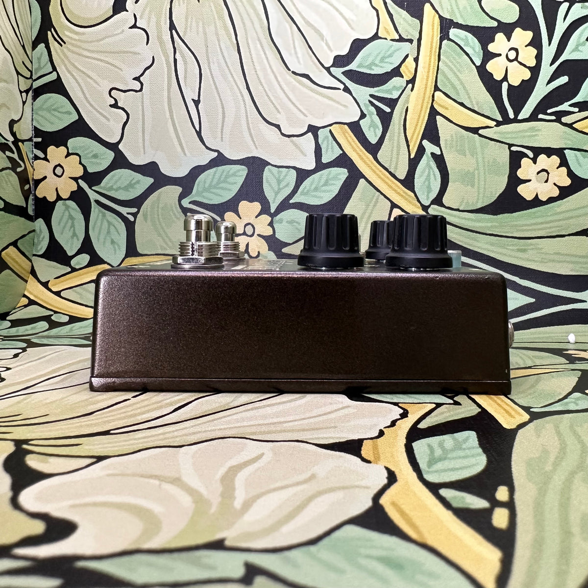 Caroline Guitar Company Météore Lo-Fi Reverb – eastside music supply