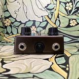 Caroline Guitar Company Météore Lo-Fi Reverb