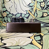 Caroline Guitar Company Météore Lo-Fi Reverb