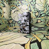 Catalinbread STS-88 Flanger with Reverb