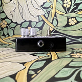 Catalinbread STS-88 Flanger with Reverb