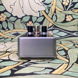 Electro-Harmonix Nano Deluxe Memory Man