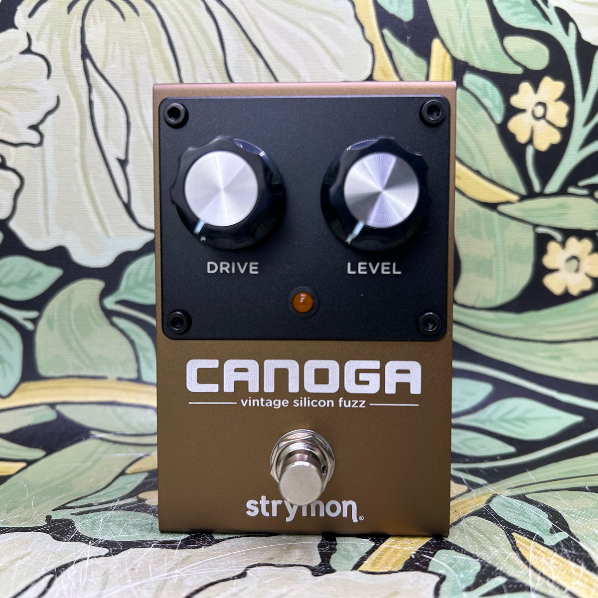 Strymon Canoga Vintage Silicon Fuzz – eastside music supply