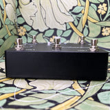 EarthQuaker Devices Swiss Things - Used