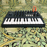 Arturia MicroBrute Analog Synthesizer