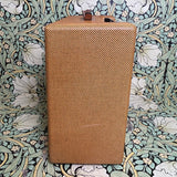5F2A "Princeton" Clone 1x8 Combo Amp