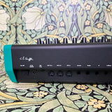 PWM Mantis Hybrid-Analog Duophonic Synthesizer