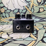 EarthQuaker Devices Ghost Echo