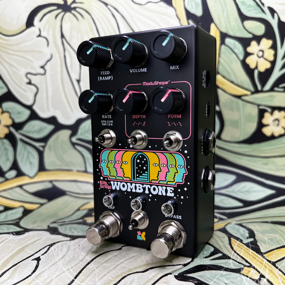 Chase Bliss Billy Strings Wombtone - Used – eastside music supply