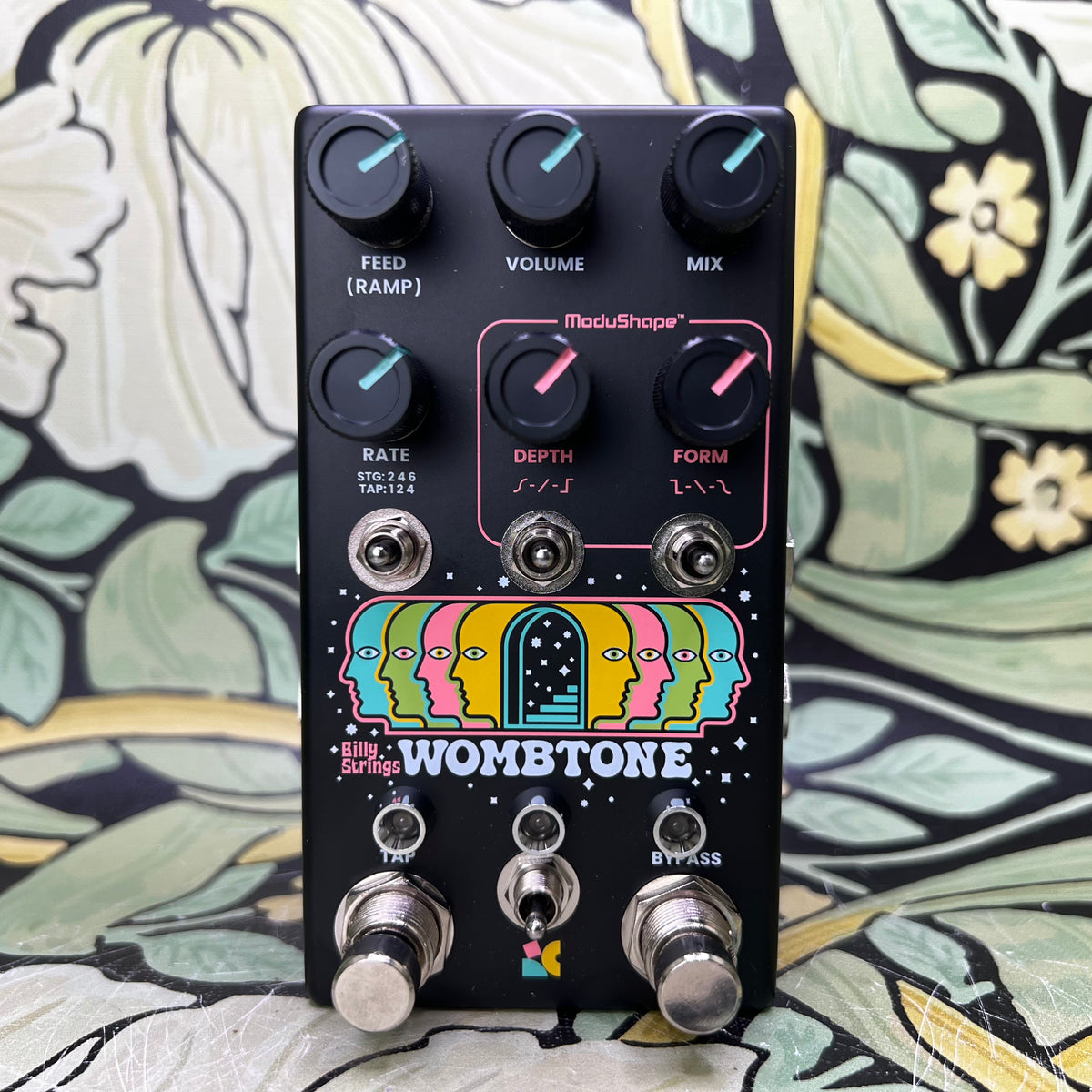 Chase Bliss Billy Strings Wombtone - Used – eastside music supply