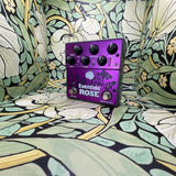 Eventide Rose