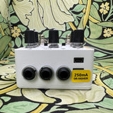 Red Panda Lab Raster 2
