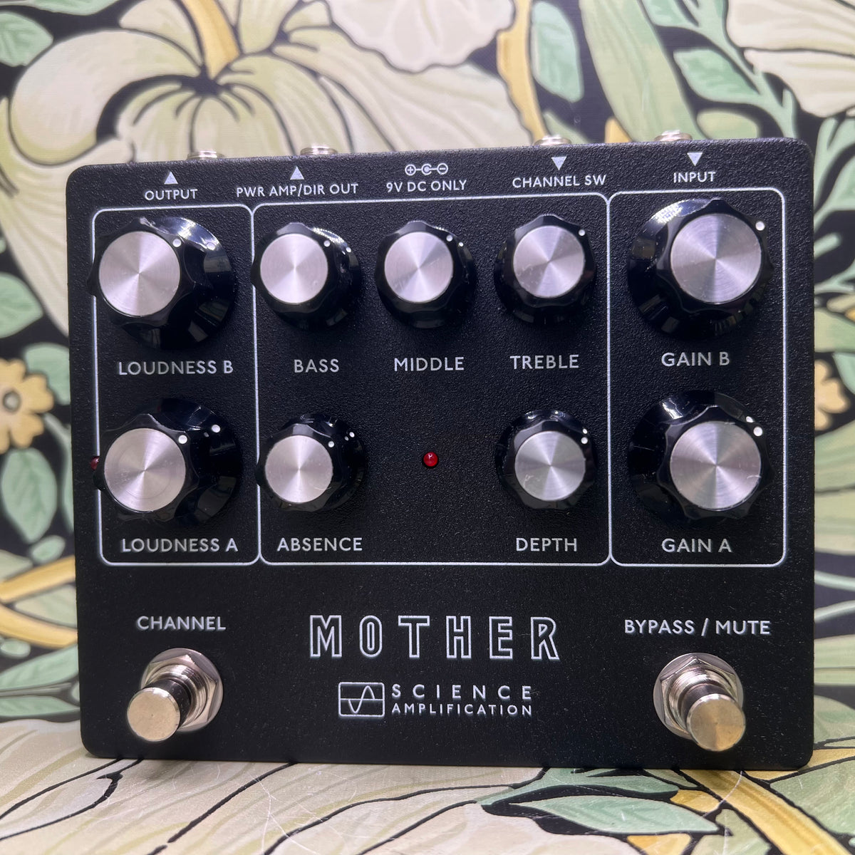 国内正規品Science Amplification Mother Preamp s276650534166313518_p9_i18_w40