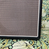Carr Sportsman 19watt 1x12 Combo Amp