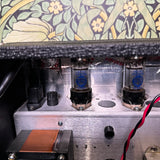 Carr Sportsman 19watt 1x12 Combo Amp