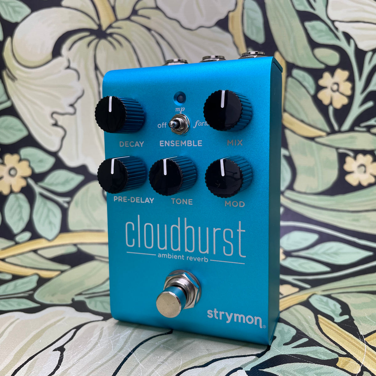 cloudburst pedal Strymon Cloudburst Ambient Reverb – eastside music supply