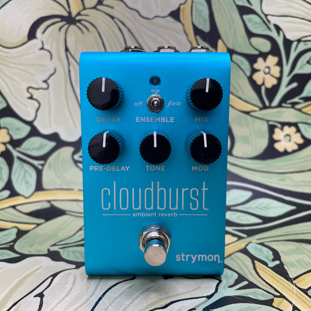 Strymon Cloudburst Ambient Reverb