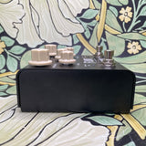 Strymon Flint Tremolo / Reverb V2