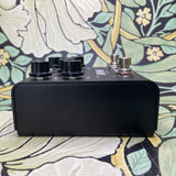 Strymon Iridium Amp Modeler & Impulse Response Cabinet