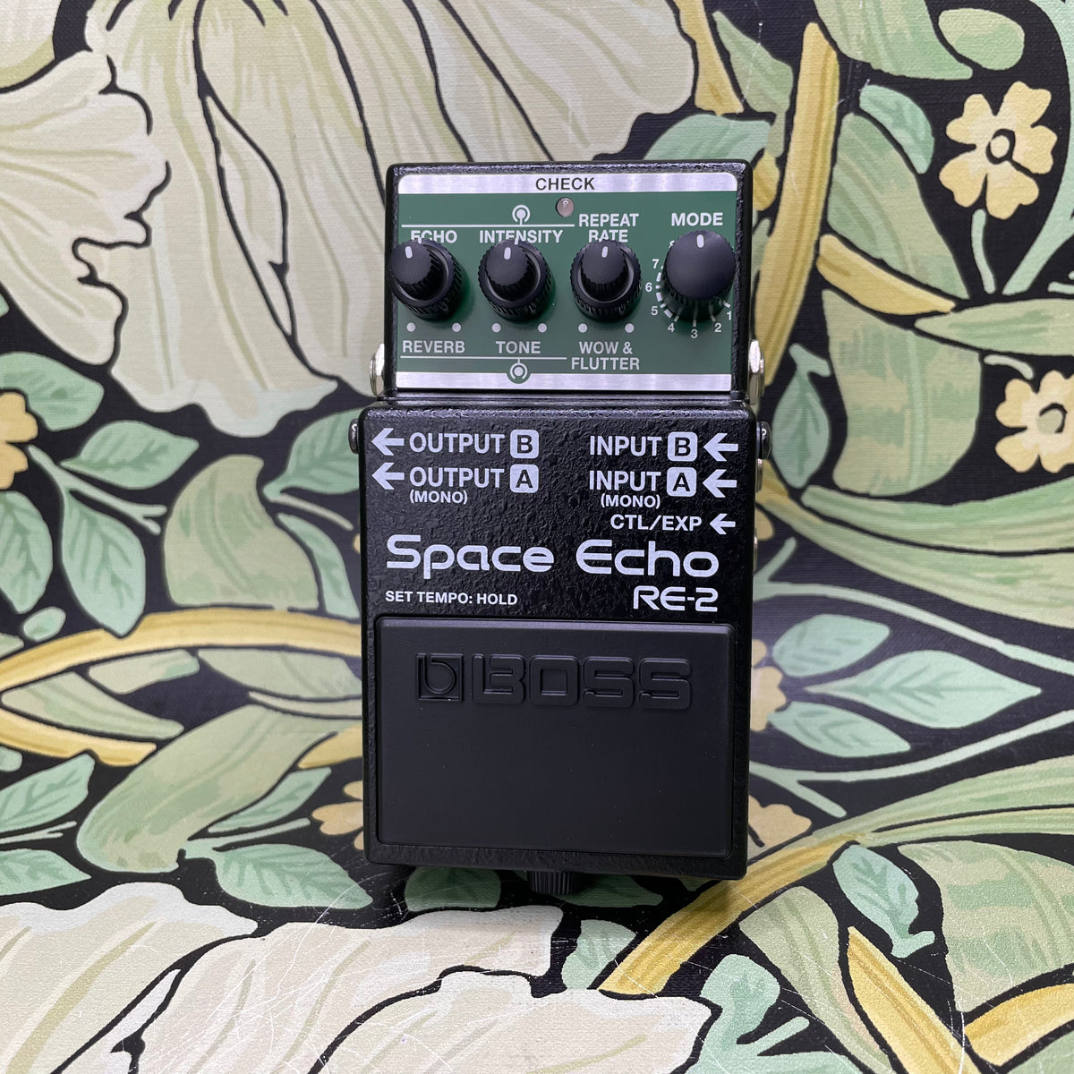 Boss RE-2 Space Echo – eastside music supply