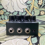 Asheville Music Tools ADG-1 Analoger Delay