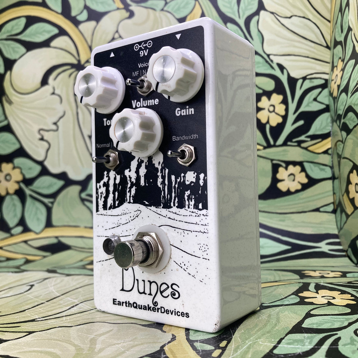 EarthQuaker Devices Dunes Overdrive – eastside music supply