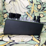Old Blood Noise Endeavors Dark Star Stereo Soundscape Reverb - Eastside Exclusive