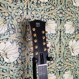 Scale Model Guitars MK II 9 string Pelham Blue