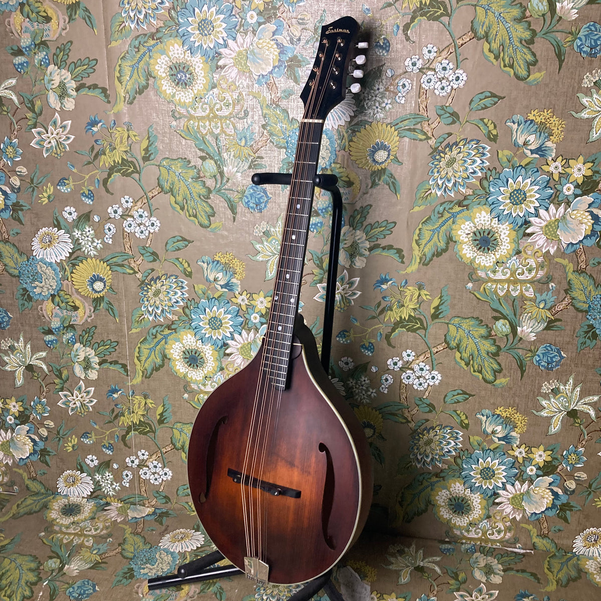 Eastman Guitars: MDO-305 Octave Mandolin | Area 22 Guitars