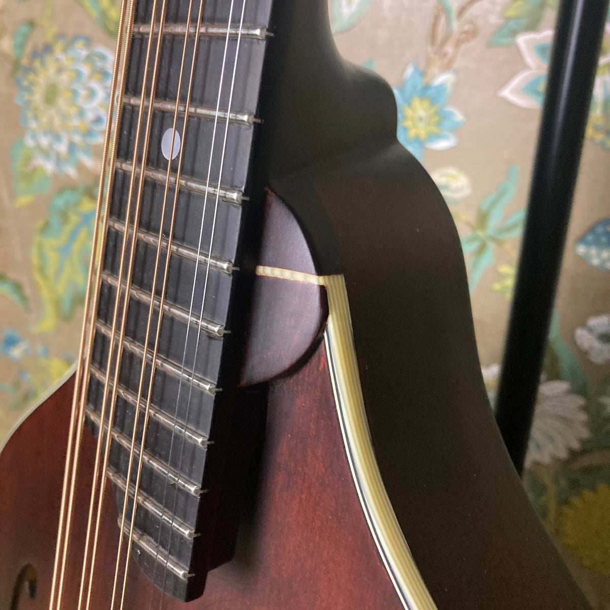 Eastman MDO305 Octave Mandolin – eastside music supply