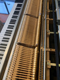 Yamaha CP70B Electric Grand Piano