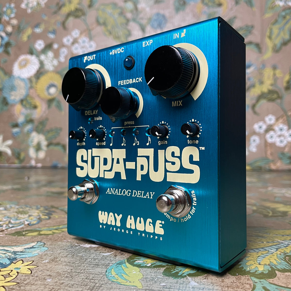 Way Huge Supa-Puss Analog Delay