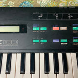 Yamaha DX100