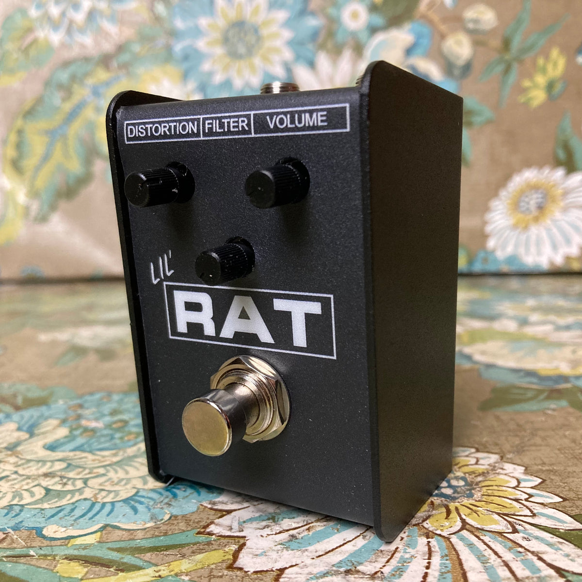 ProCo Lil' Rat – eastside music supply