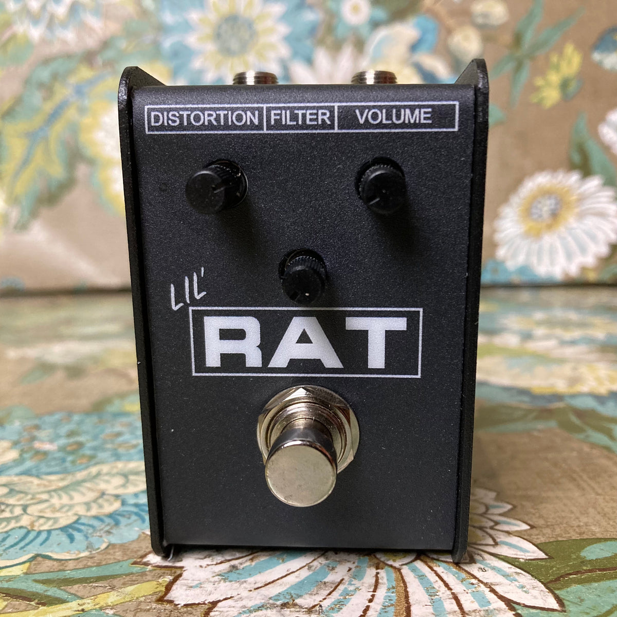 ProCo Lil' Rat – eastside music supply