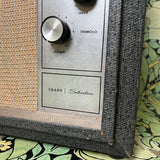 Black Tape Amplifiers Modded Silvertone Model 1482
