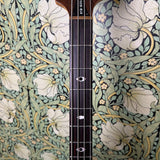 Aria Pro II RSB-600 1980