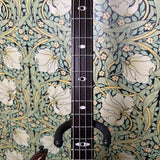 Aria Pro II RSB-600 1980