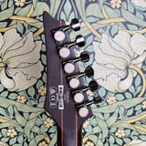 Ibanez Axion Label RGA61AL - Indigo Aurora Burst Flat