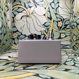 Death By Audio + Rainger Fx Amp Crash