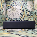 Ampeg SCR-DI  - Used