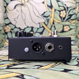 Ampeg SCR-DI  - Used
