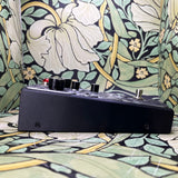 Beetronics FX Abelha - Used