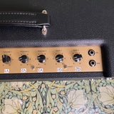 Friedman Amplification Wildwood Custom Small Box Combo Amp