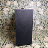 Friedman Amplification Wildwood Custom Small Box Combo Amp