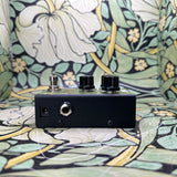 LsL Instruments OG OD - Used