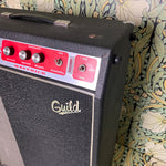 Guild Maverick 2x10 Combo Amp 1970's